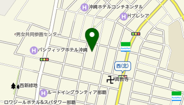 アースカー 那覇市辻1丁目 波の上ビーチの地図画像