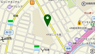 アースカー 那覇市久米1丁目 波之上宮の地図画像