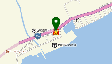 ニューヤマザキデイリーストア 天草龍誠店の地図画像