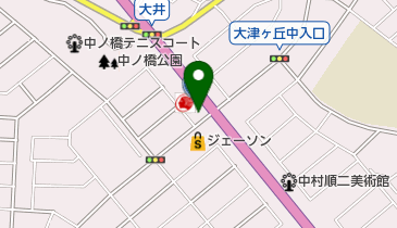 ニコニコレンタカー 柏沼南店の地図画像