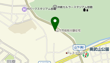 ニコニコレンタカー 那覇奥武山公園駅店の地図画像