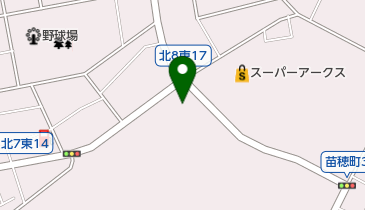 ライジング苗穂の地図画像