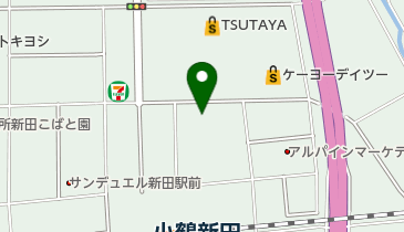 パラディソ小鶴新田店の地図画像
