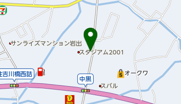 スタジアム2001岩出店の地図画像