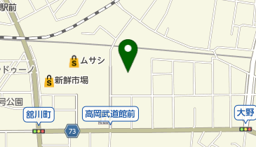 タイヨーネオ高岡店の地図画像