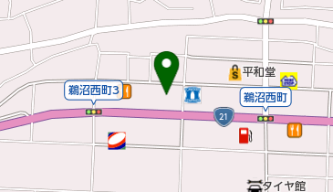 [EV]トヨタカローラネッツ岐阜(株) ネッツ鵜沼店の地図画像