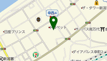 [EV]新潟トヨペット(株) 新潟本店の地図画像