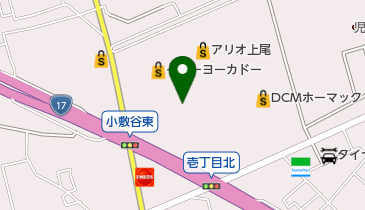 [EV](株)イトーヨーカ堂 アリオ上尾 (平面P)の地図画像