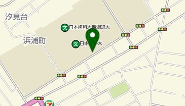 [EV]日本歯科大学 新潟生命歯学部の地図画像