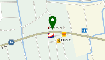 [EV]徳島トヨペット(株) テクノリバー石井店の地図画像