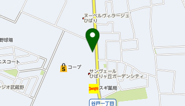 [EV]大和リース(株) フレスポひばりが丘の地図画像