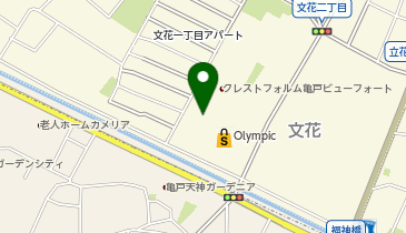[EV](株)Olympic オリンピック墨田文花店 (屋上P)の地図画像