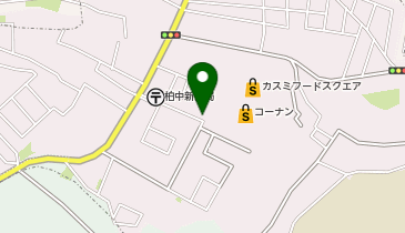 [EV]コーナン商事(株) コーナン柏中新宿店の地図画像