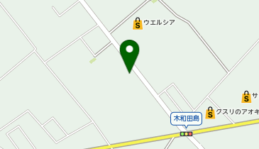 [EV]ダイナム栃木日光大沢店の地図画像