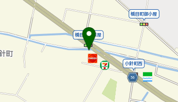 [EV](株)ENEOSモビリニア中部支店 ENEOS Dr.Drive セルフ岡崎小針町店の地図画像