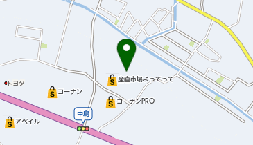[EV]ダイナム和歌山岩出店の地図画像