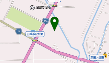 [EV]ダイナム岐阜山県店の地図画像