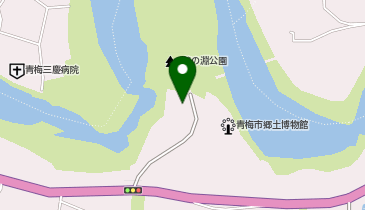 [EV]アイコニア・ホスピタリティ(株) 亀の井ホテル 青梅の地図画像