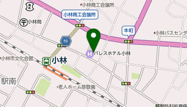 [EV]小林まちづくり(株) パレスホテル小林の地図画像