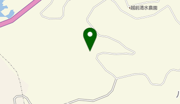 [EV]GFC越前 PARADESIAの地図画像