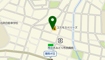 [EV]コスモス・ベリーズ(株) コスモスベリーズ 鳴海店の地図画像
