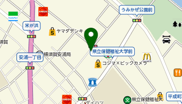 [EV]コジマ&times;ビックカメラ 横須賀店の地図画像
