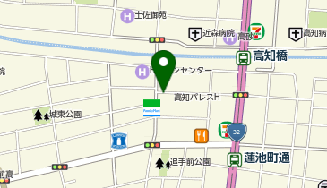 [EV]高知パレスホテルの地図画像