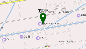 [EV]View Group 石和びゅーほてるの地図画像