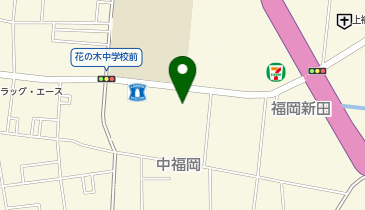 [EV]フライングガーデン 上福岡店の地図画像