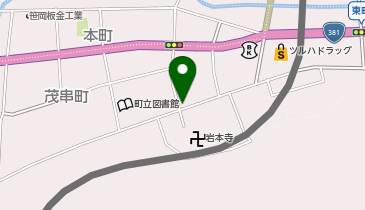 [EV]藤井山 五智院 岩本寺 (FLASH)の地図画像