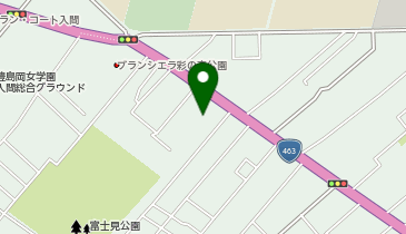 [EV]ジョンソンタウンパークの地図画像