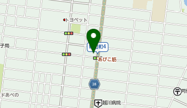 [EV]トヨタカローラ南海(株) レクサス阿倍野の地図画像