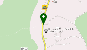 [EV](同)ULTRAパートナーズ パームインターナショナルテニスアカデミーの地図画像