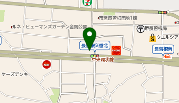 [EV]日産大阪販売(株) 中環堺店の地図画像