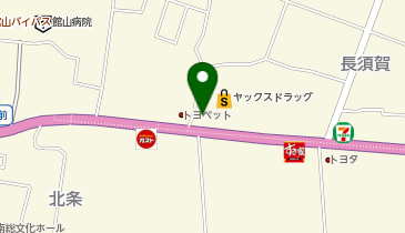 [EV]トヨタカローラ千葉(株) 館山店の地図画像