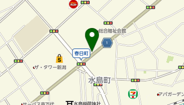 29.NTTdocomo新潟ビル (にいがた2kmシェアサイクル)の地図画像