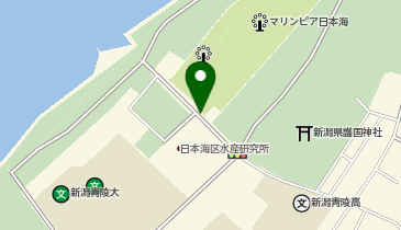 31.マリンピア日本海 (にいがた2kmシェアサイクル)の地図画像