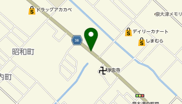 apollostation セルフ泉大津中央SS (bikeshareポート)の地図画像