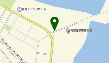 青島屋ポート (bikeshareポート)の地図画像