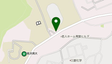 【AO024】日本体育大学 横浜・健志台キャンパス (ドコモ・バイクシェア)の地図画像
