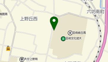 137.大分県立芸術文化短期大学 (おおいたサイクルシェア)の地図画像