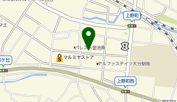 138.金池マンションA棟 (おおいたサイクルシェア)の地図画像