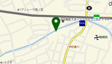 N1-03.鷺宮南駐輪場 (ドコモ・バイクシェア)の地図画像