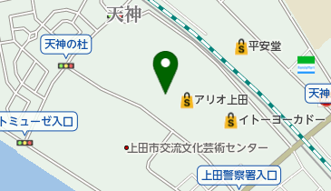 モスバーガーアリオ上田店の地図画像