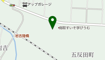 ブリヂストンタイヤサービス 鳥取店の地図画像