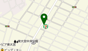 [EV]ネッツトヨタ埼玉(株)東大宮店の地図画像