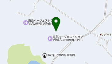 [EV]東急ハーヴェストクラブ軽井沢&VIALAの地図画像