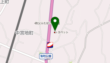 [EV]埼玉トヨペット 秩父支店の地図画像