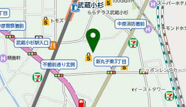 [EV]グランツリー武蔵小杉の地図画像