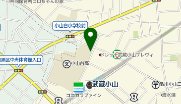 ブルーマリヌ武蔵小山の地図画像